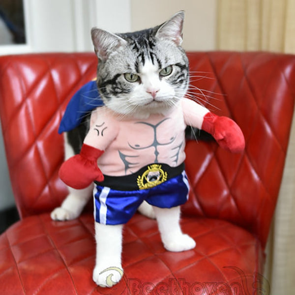 Funny Dog Cat Costumes Boxer Cosplay Suit Pet Clothing Halloween Christmas Uniform Clothes For Puppy Dogs Costume for a cat