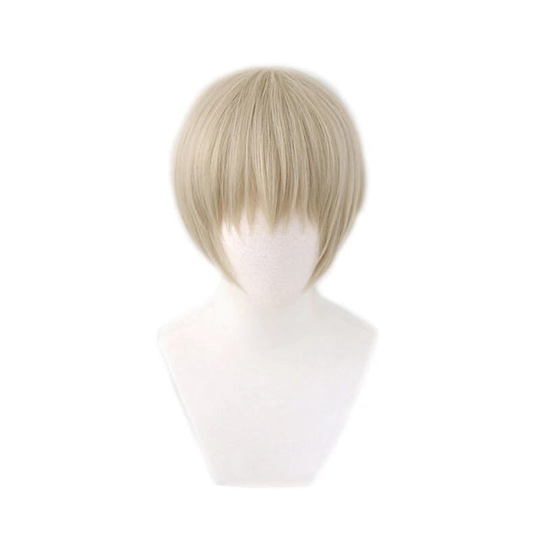 Anime Jujutsusu Kaisenen Togege Inumakiki Cosplay Gray Short Heat Resistant Synthetic Hair Halloween Carnival Party Costume Wig