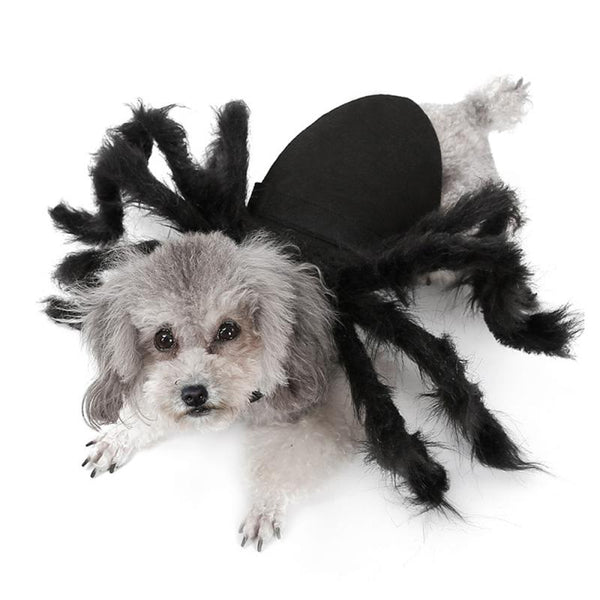 Pet Funny Clothes for Dogs Cats Spider Halloween Puppy Cosplay Costume Party Outfits Chien Small Medium Pets Dog Cloth Apparel
